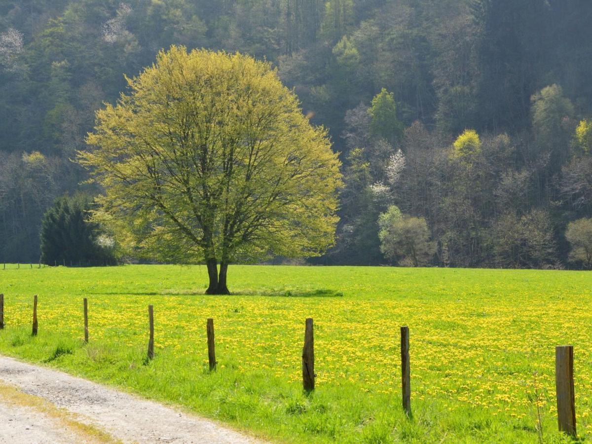 Cozy Holiday Home Near The Forest In Bovigny Gouvy ภายนอก รูปภาพ